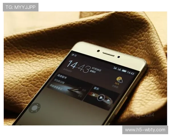 万博入口登录官网最新安全措施解读，保障用户账户信息安全的必备知识